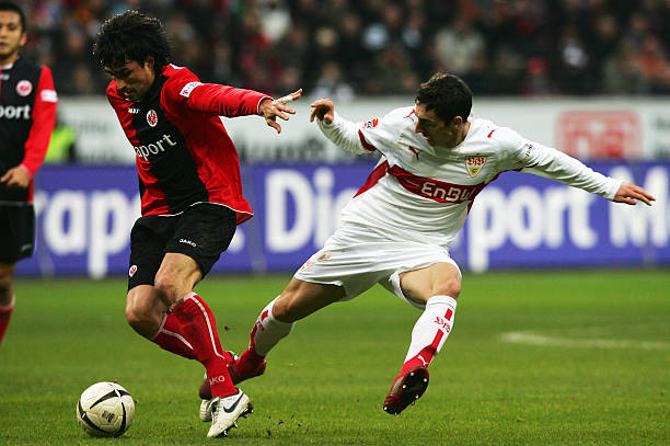 要依赖罗伊 要依赖罗伊