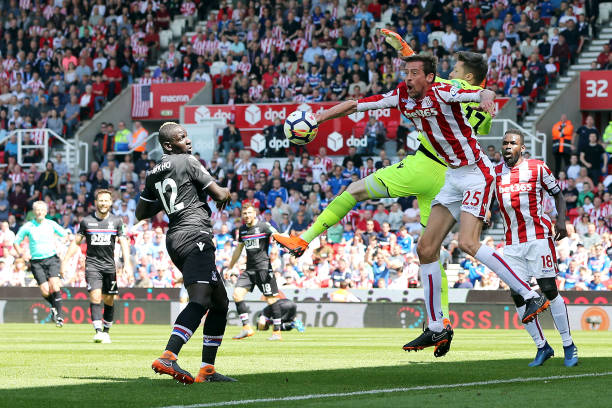 的年轻球员 的年轻球员